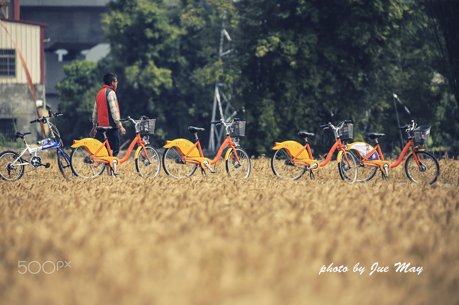 150-600mm F5-6.3 DG OS HSM | Contemporary 015 sample photo. 麥田~ubike photography