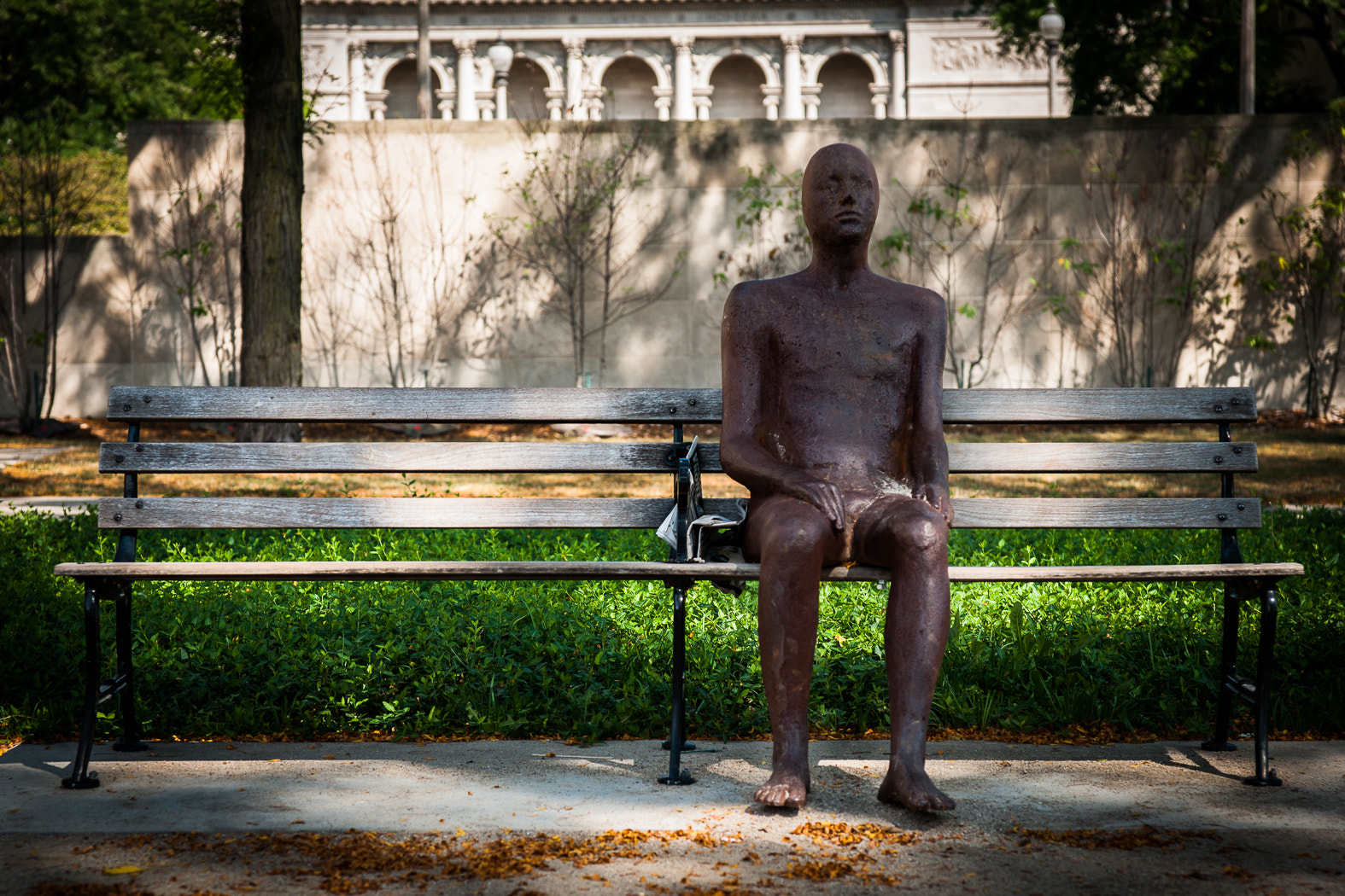 Sony Alpha DSLR-A900 sample photo. Solitary photography