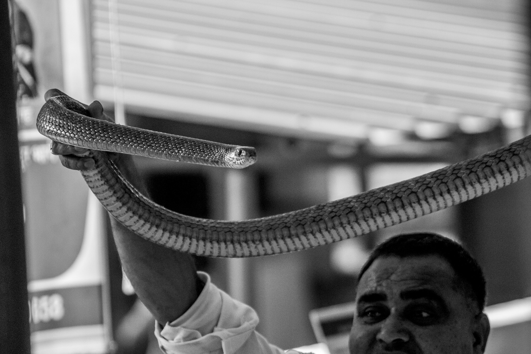 Canon EOS 1100D (EOS Rebel T3 / EOS Kiss X50) sample photo. Dhaaman bnw photography