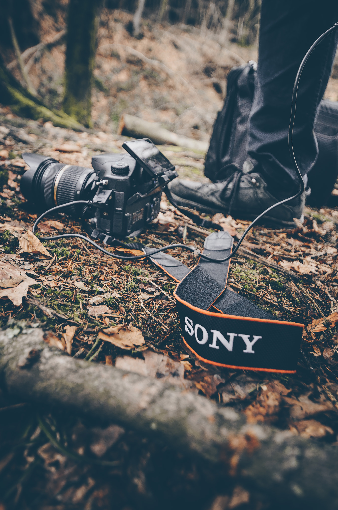 Nikon D7000 + Sigma 10-20mm F3.5 EX DC HSM sample photo. Sony photography