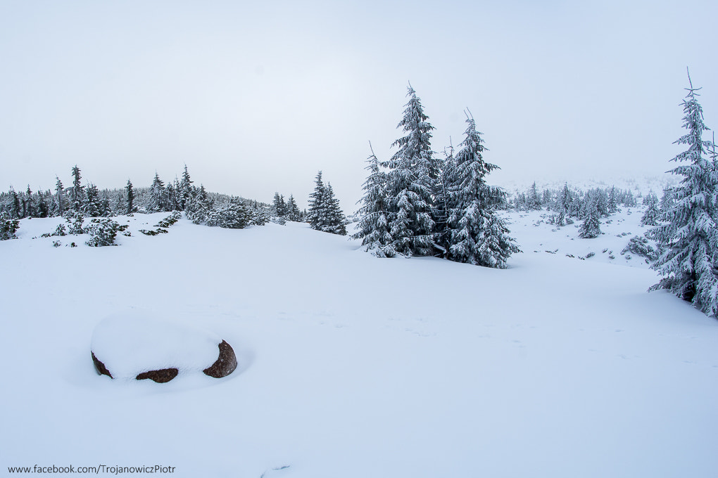 Nikon D7100 + Samyang 8mm F3.5 Aspherical IF MC Fisheye sample photo. Karkonosze zimą photography