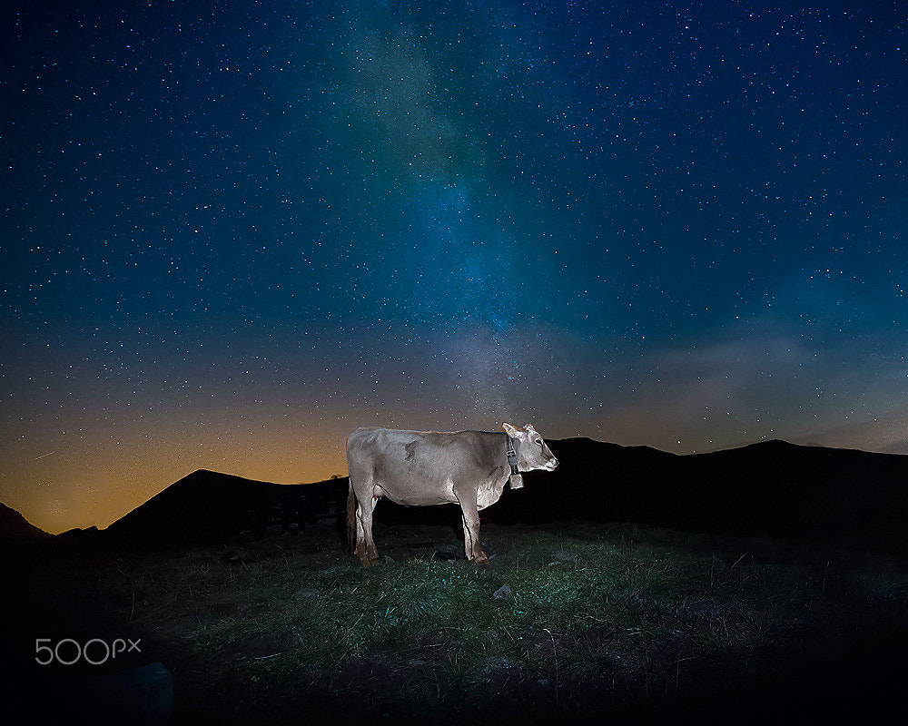 Sigma 12-24mm F4.5-5.6 II DG HSM sample photo. Mucca lattea photography