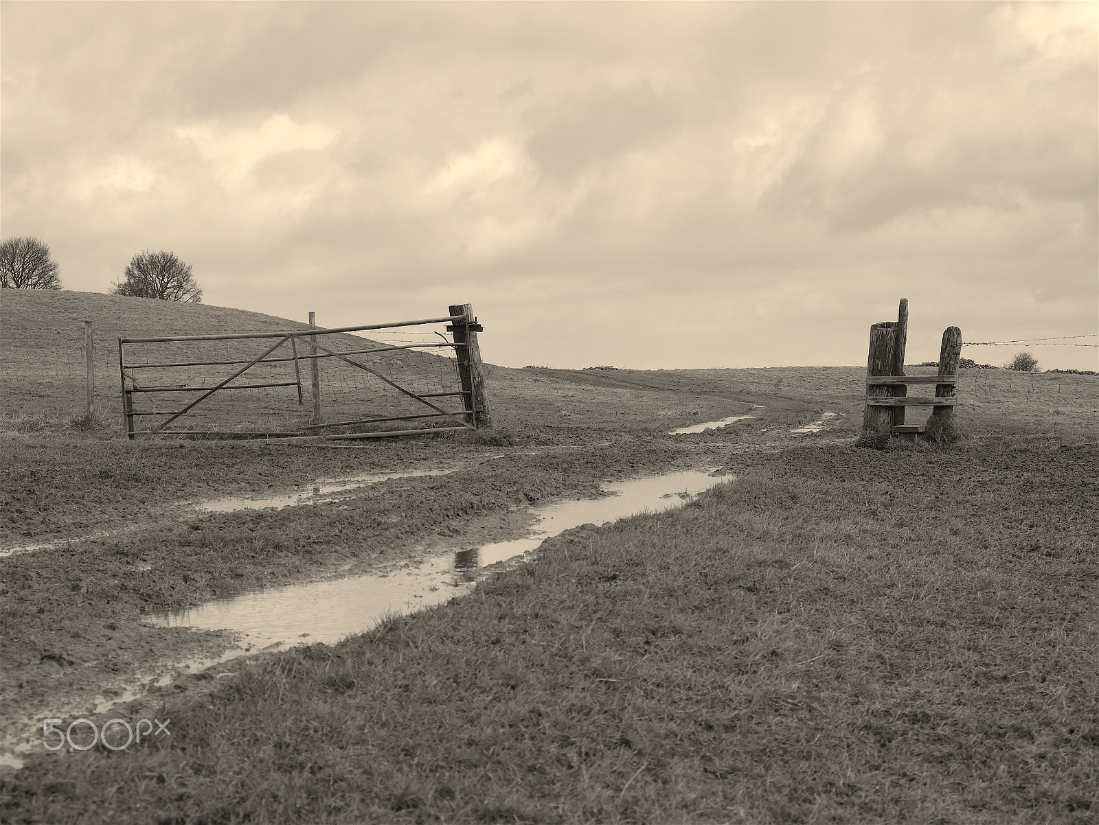 Panasonic Lumix DMC-G7 sample photo. Wasteland photography