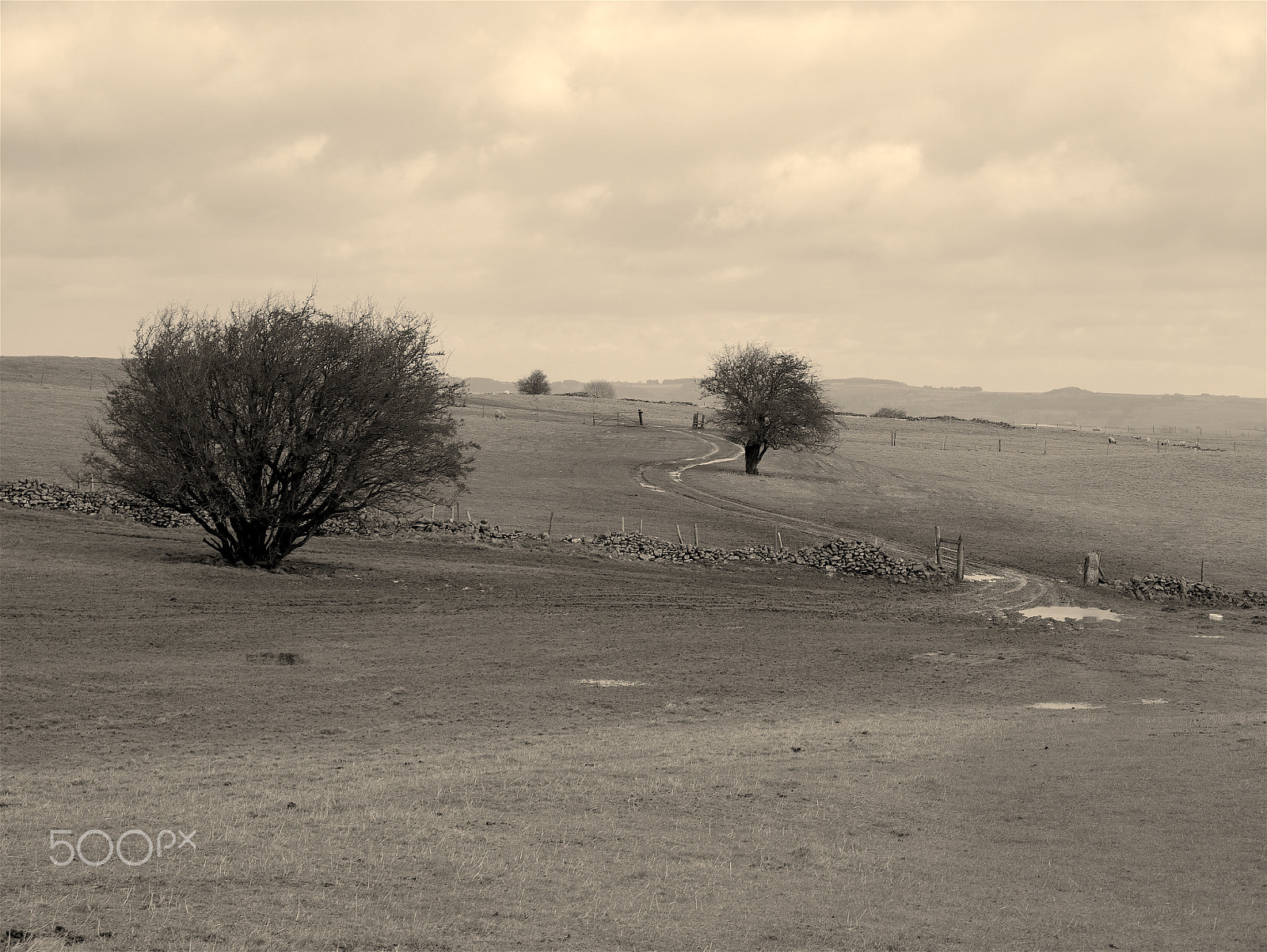Panasonic Lumix DMC-G7 sample photo. Wasteland photography