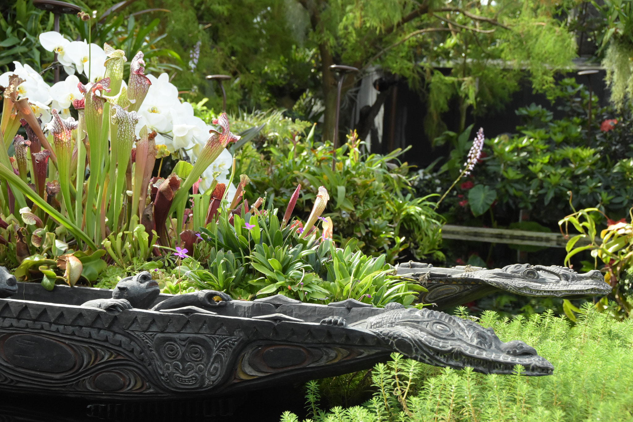 Nikon D5500 sample photo. Relaxation photography