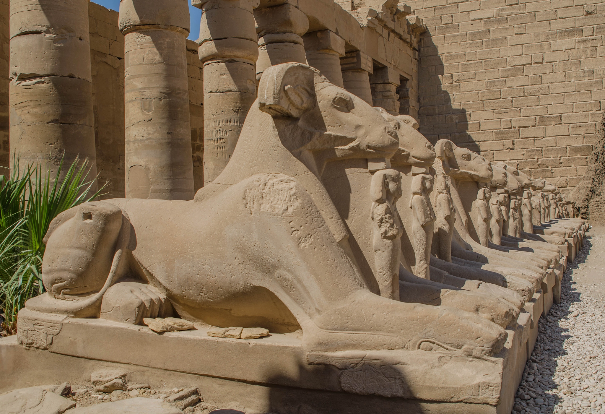 Nikon D5100 + Sigma 24-70mm F2.8 EX DG HSM sample photo. Karnak temple road of sheeps - luxor eg photography