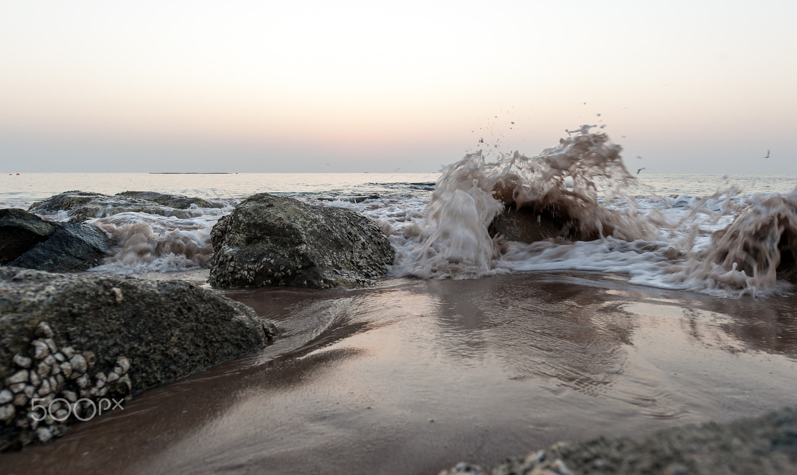 Nikon D700 sample photo. Ocean waves in light of a rising sun  / photography