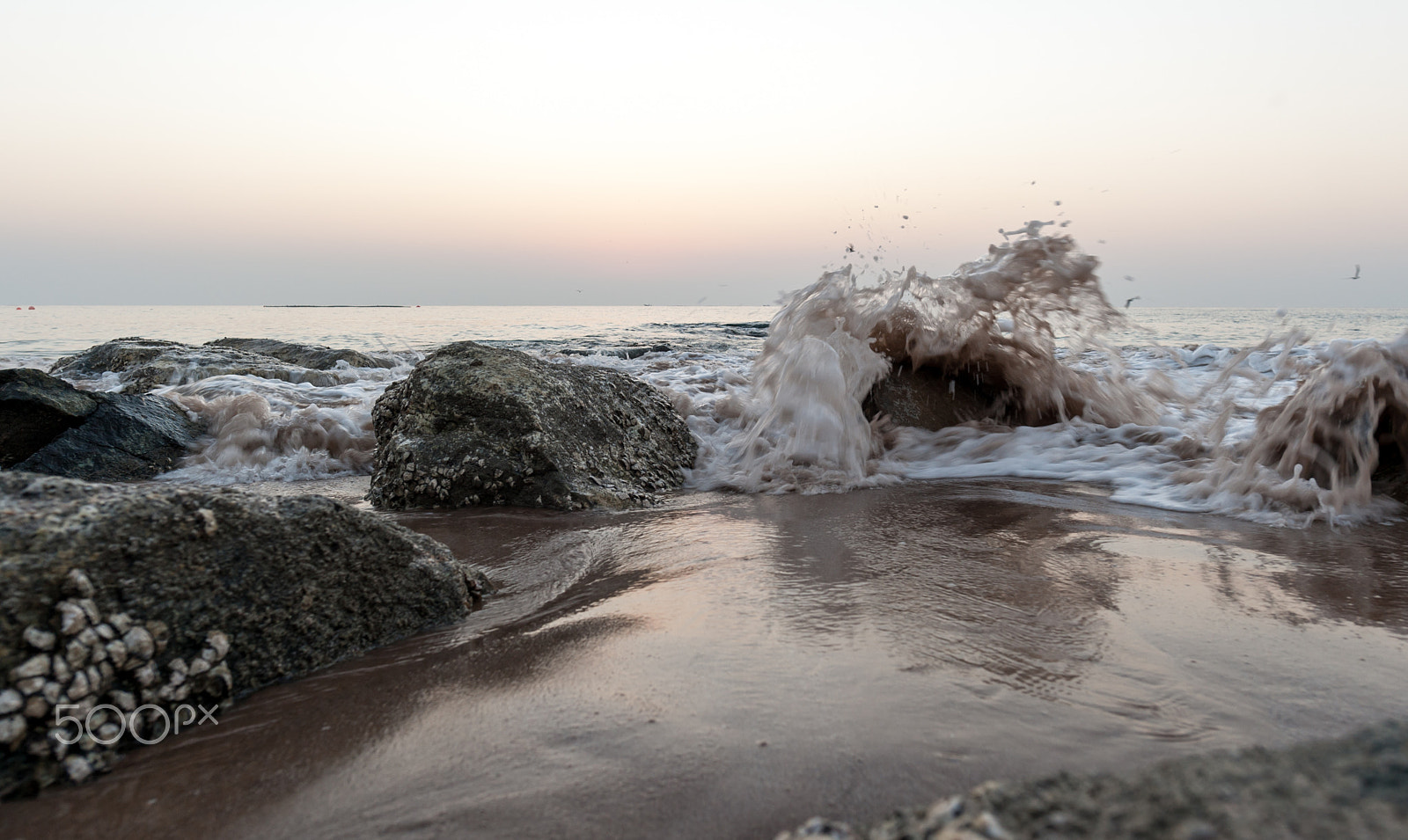 Nikon D700 + Nikon AF-S Nikkor 20mm F1.8G ED sample photo. Ocean waves in light of a rising sun  / photography