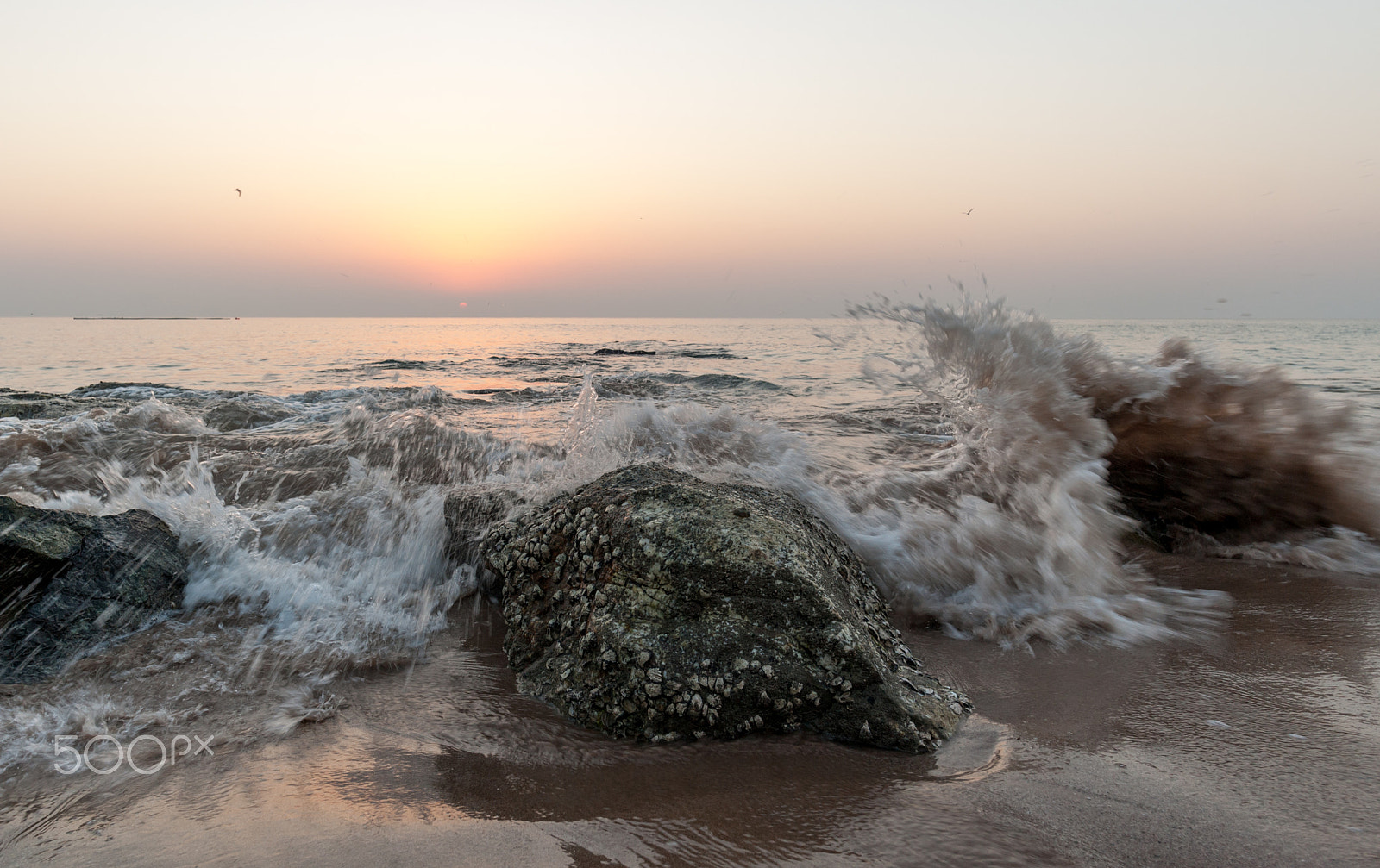 Nikon D700 sample photo. Ocean waves in light of a rising sun  / photography