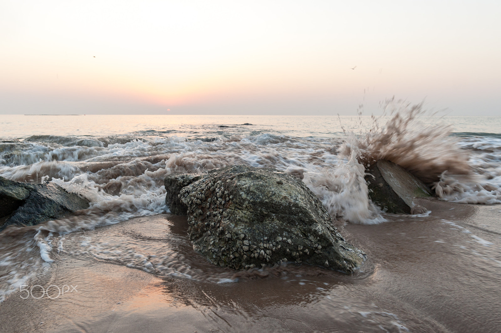 Nikon D700 + Nikon AF-S Nikkor 20mm F1.8G ED sample photo. Ocean waves in light of a rising sun  / photography