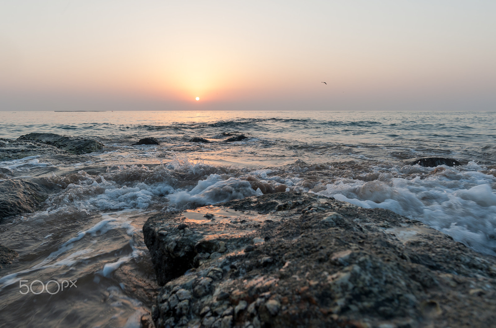 Nikon D700 + Nikon AF-S Nikkor 20mm F1.8G ED sample photo. Ocean waves in light of a rising sun  / photography