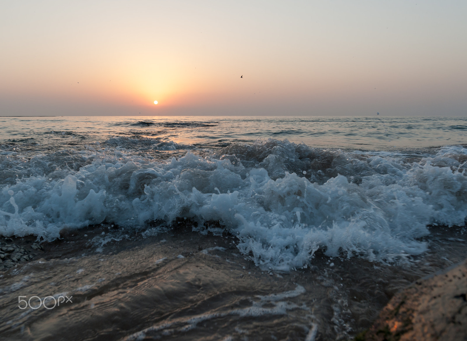 Nikon D700 + Nikon AF-S Nikkor 20mm F1.8G ED sample photo. Ocean waves in light of a rising sun  / photography