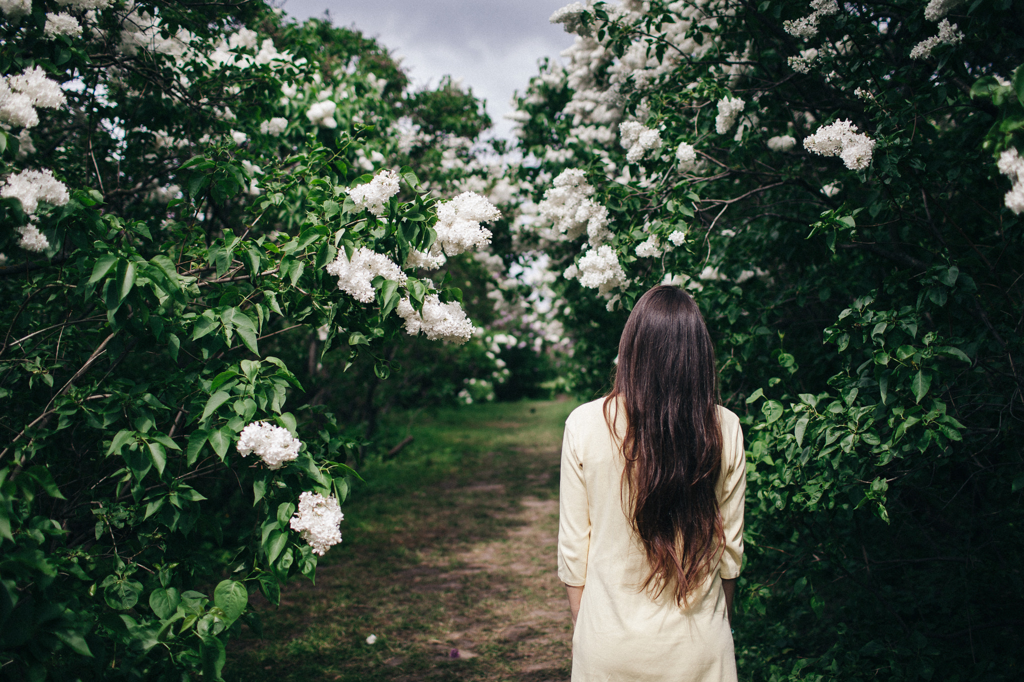 Canon EF 35mm F1.4L USM sample photo. Follow the spring photography