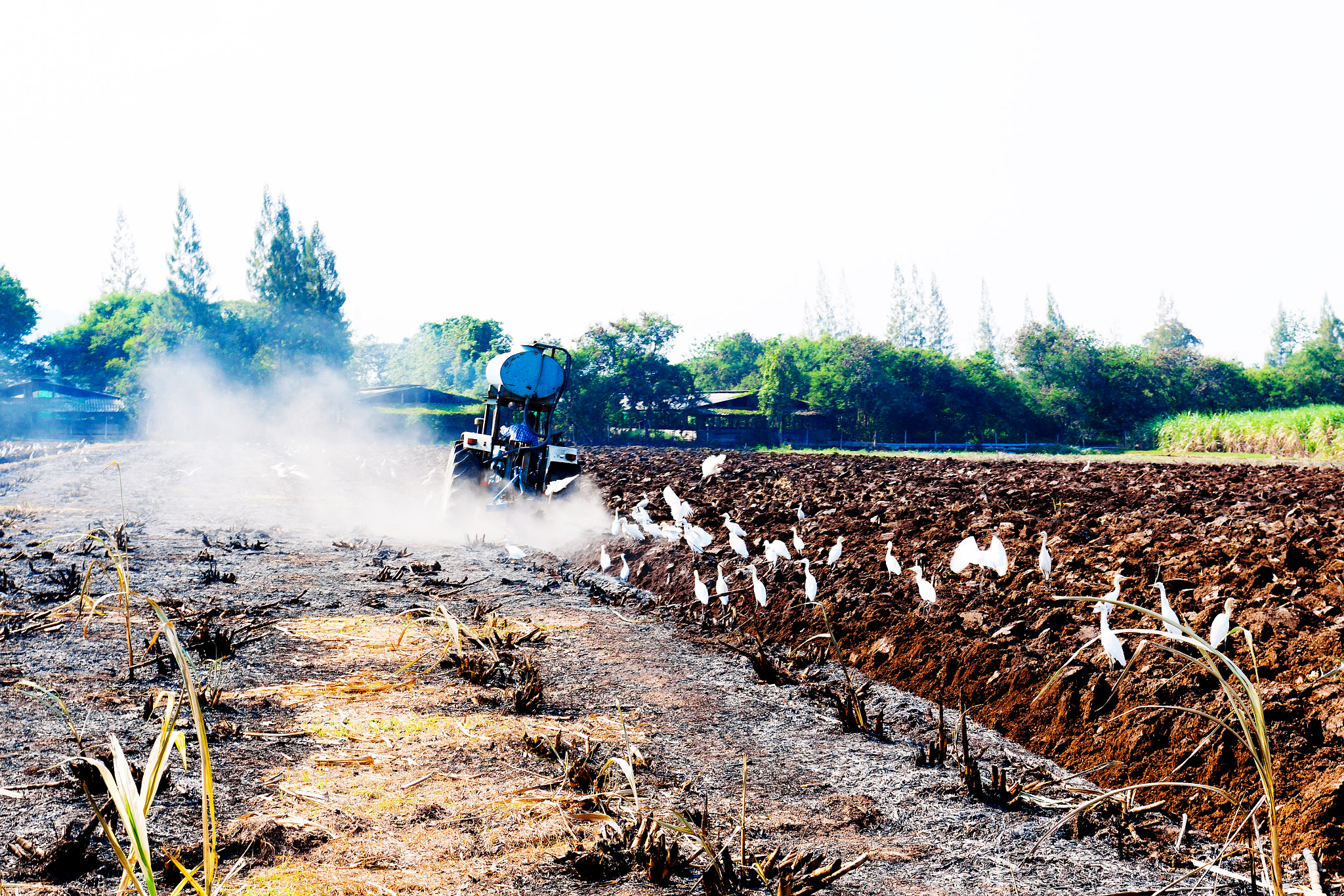 Canon EOS 50D + Canon EF 17-40mm F4L USM sample photo. Tractor plowing the stubble field (agriculture) photography