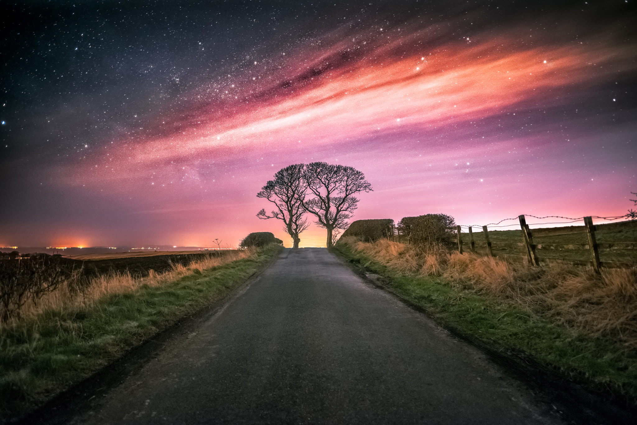 Nikon D810 + Nikon AF-S Nikkor 20mm F1.8G ED sample photo. The kissing trees photography