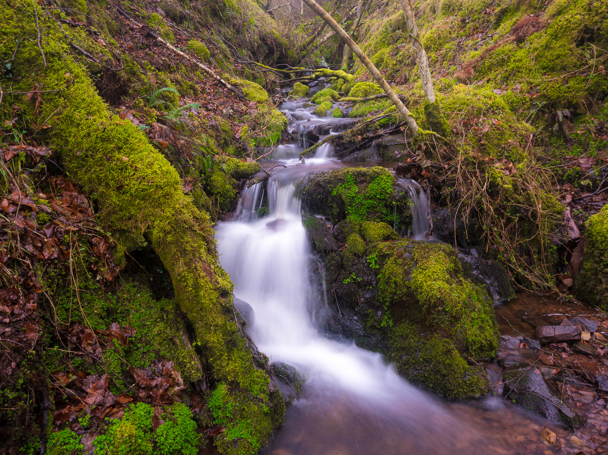 Nikon AF-S Nikkor 18-35mm F3.5-4.5G ED sample photo. Flowing through exmoor photography