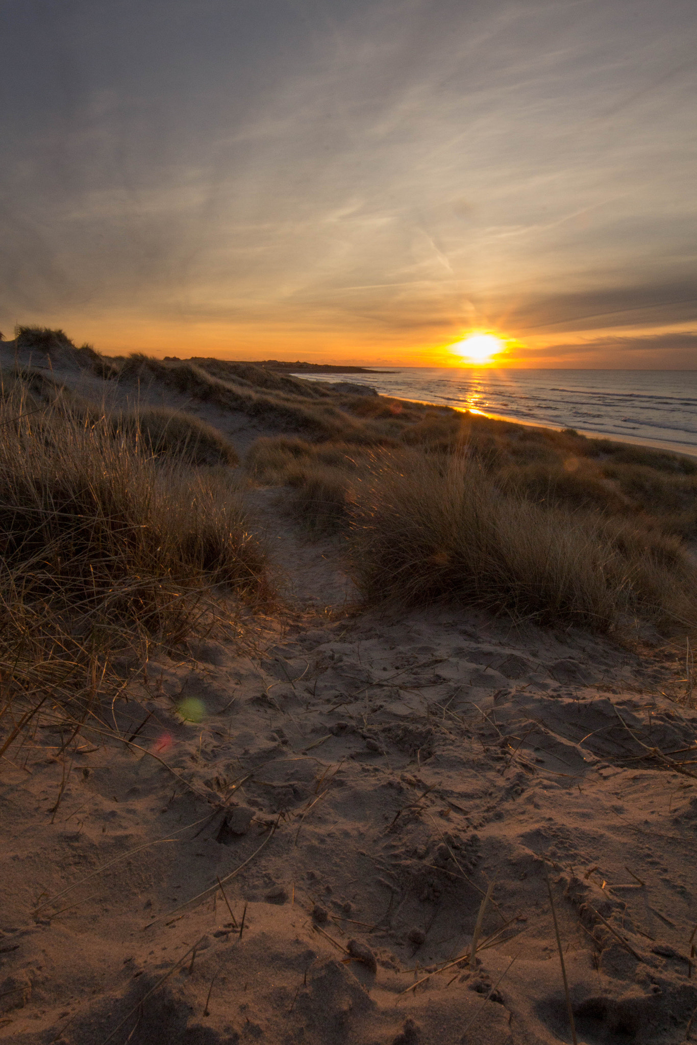 Sigma 8-16mm F4.5-5.6 DC HSM sample photo. Warmth of winter photography