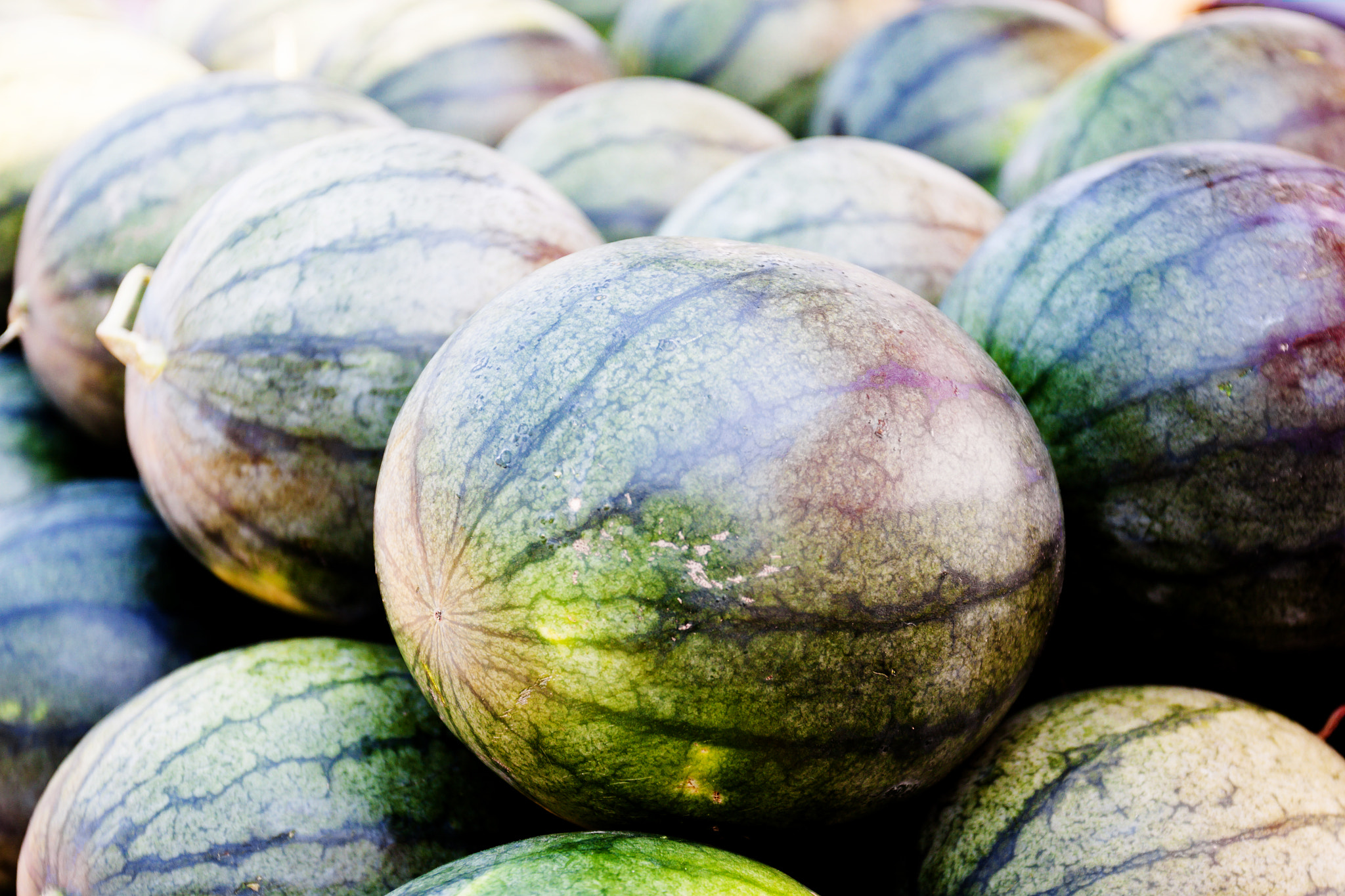 Canon EF 17-40mm F4L USM sample photo. Fresh watermelon photography