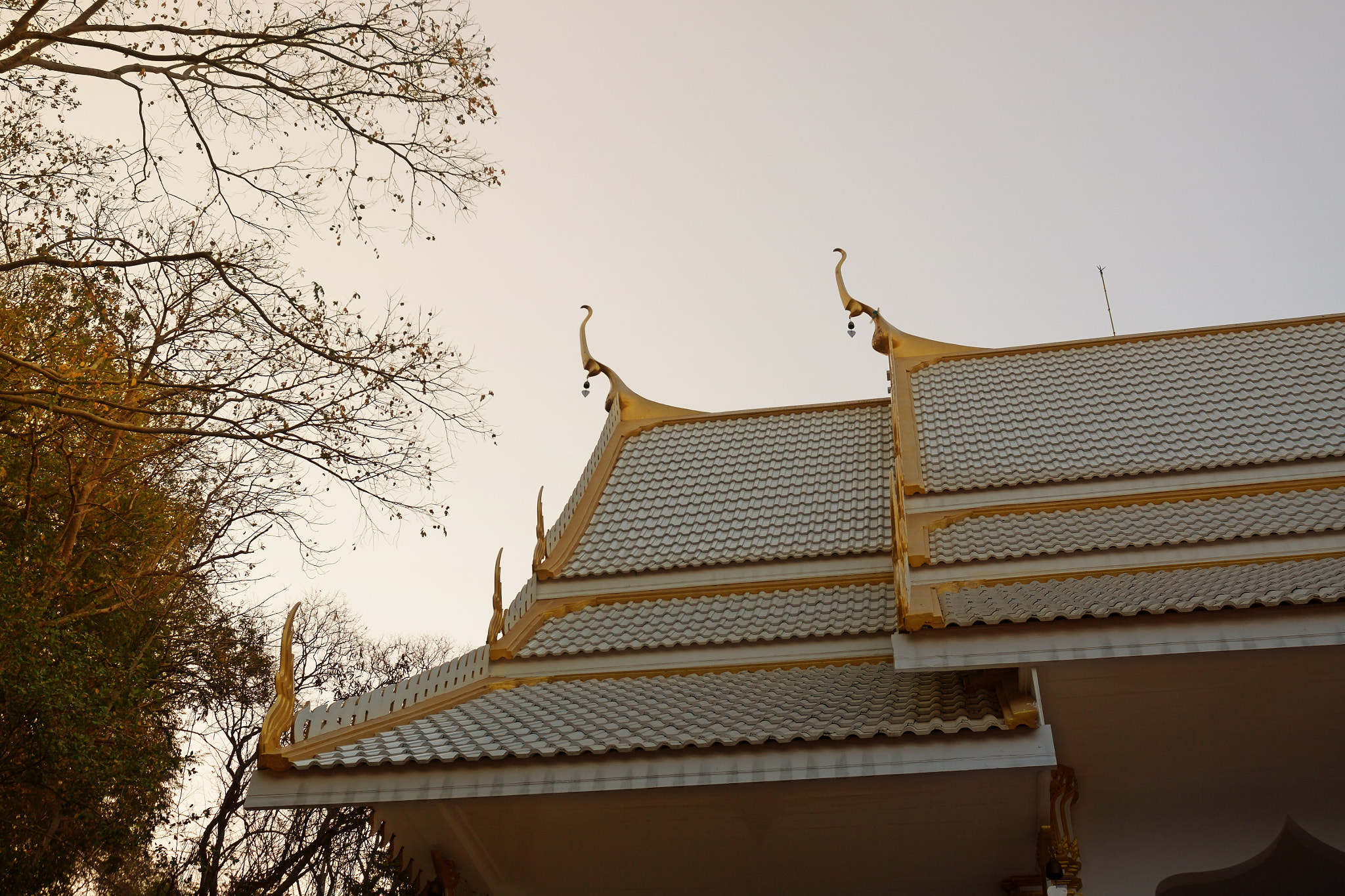 Canon EOS 50D + Canon EF 17-40mm F4L USM sample photo. Place of worship of buddhists the temple is a buddhist temple photography