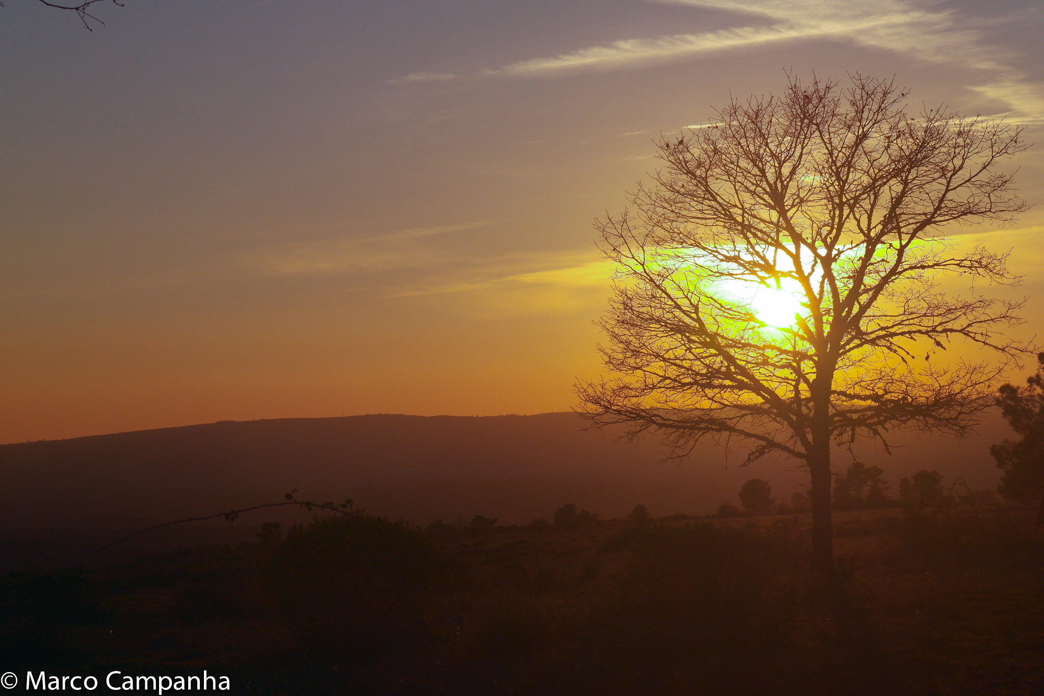 Samsung NX1100 sample photo. Sunset in the field photography