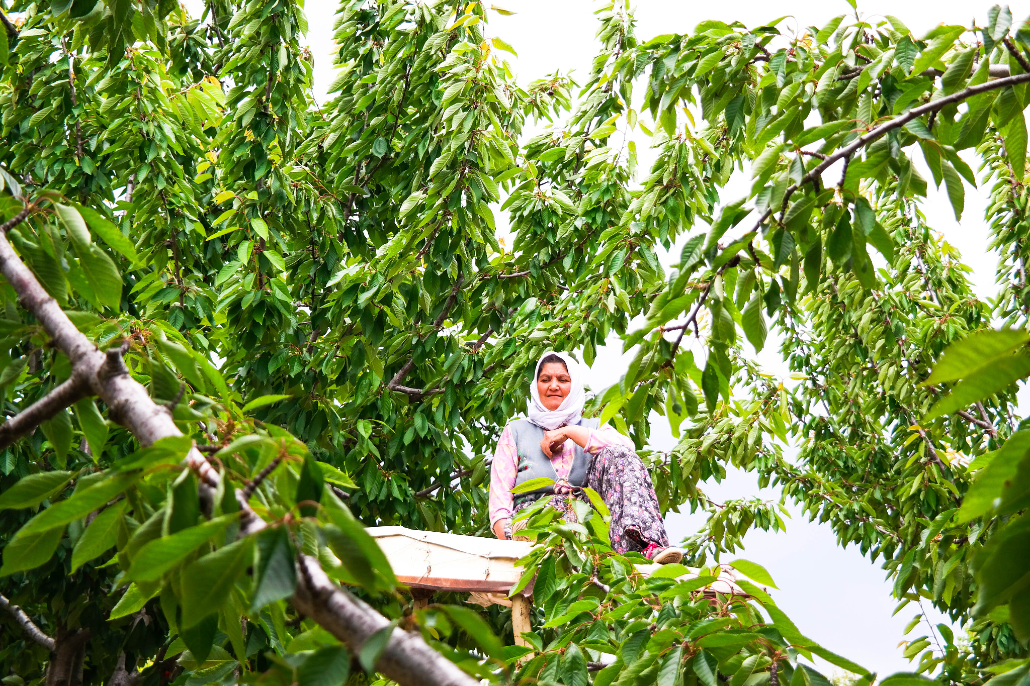 Samsung NX300M sample photo