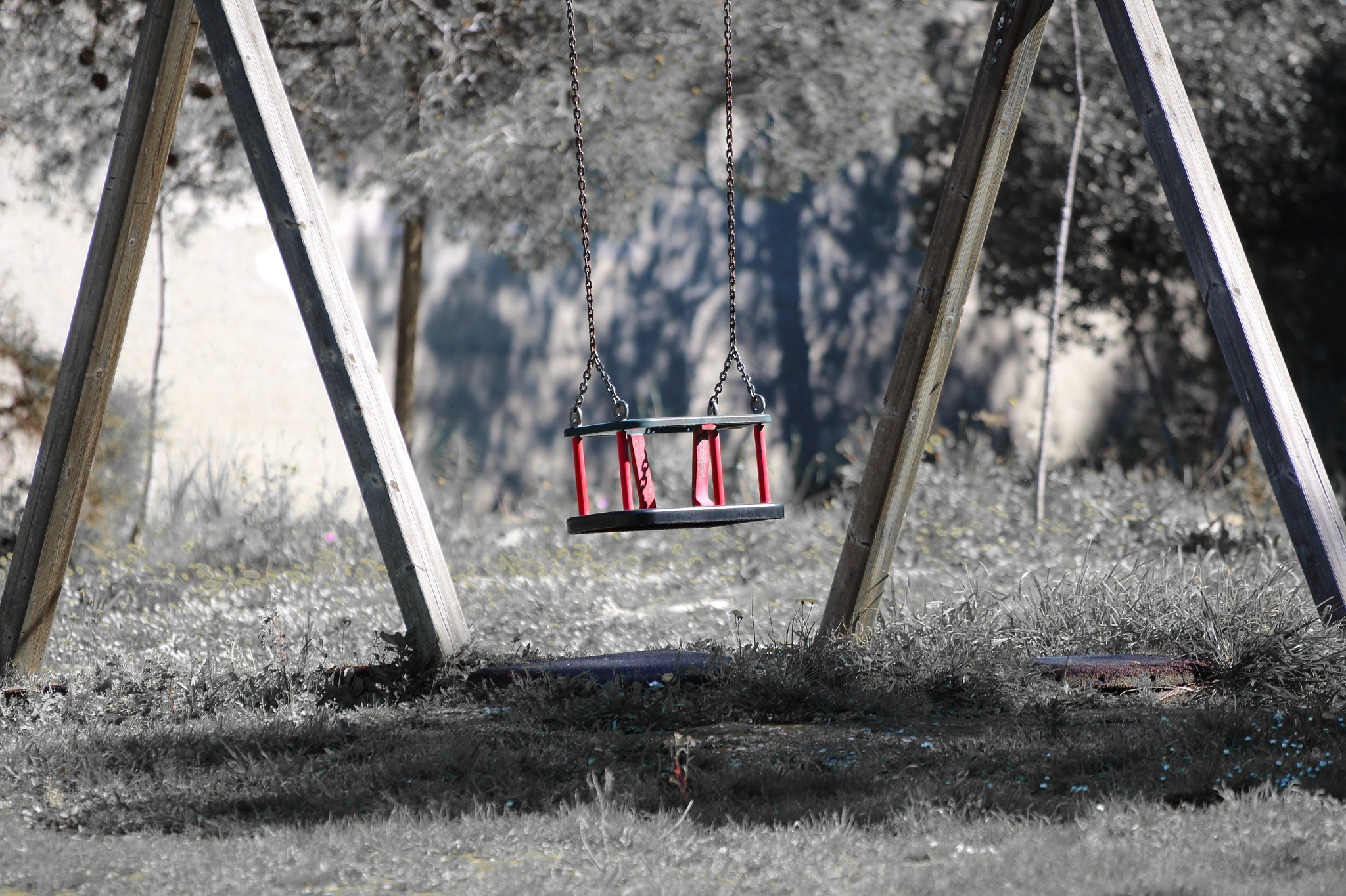 Canon EOS 1300D (EOS Rebel T6 / EOS Kiss X80) sample photo. Waiting for spring photography