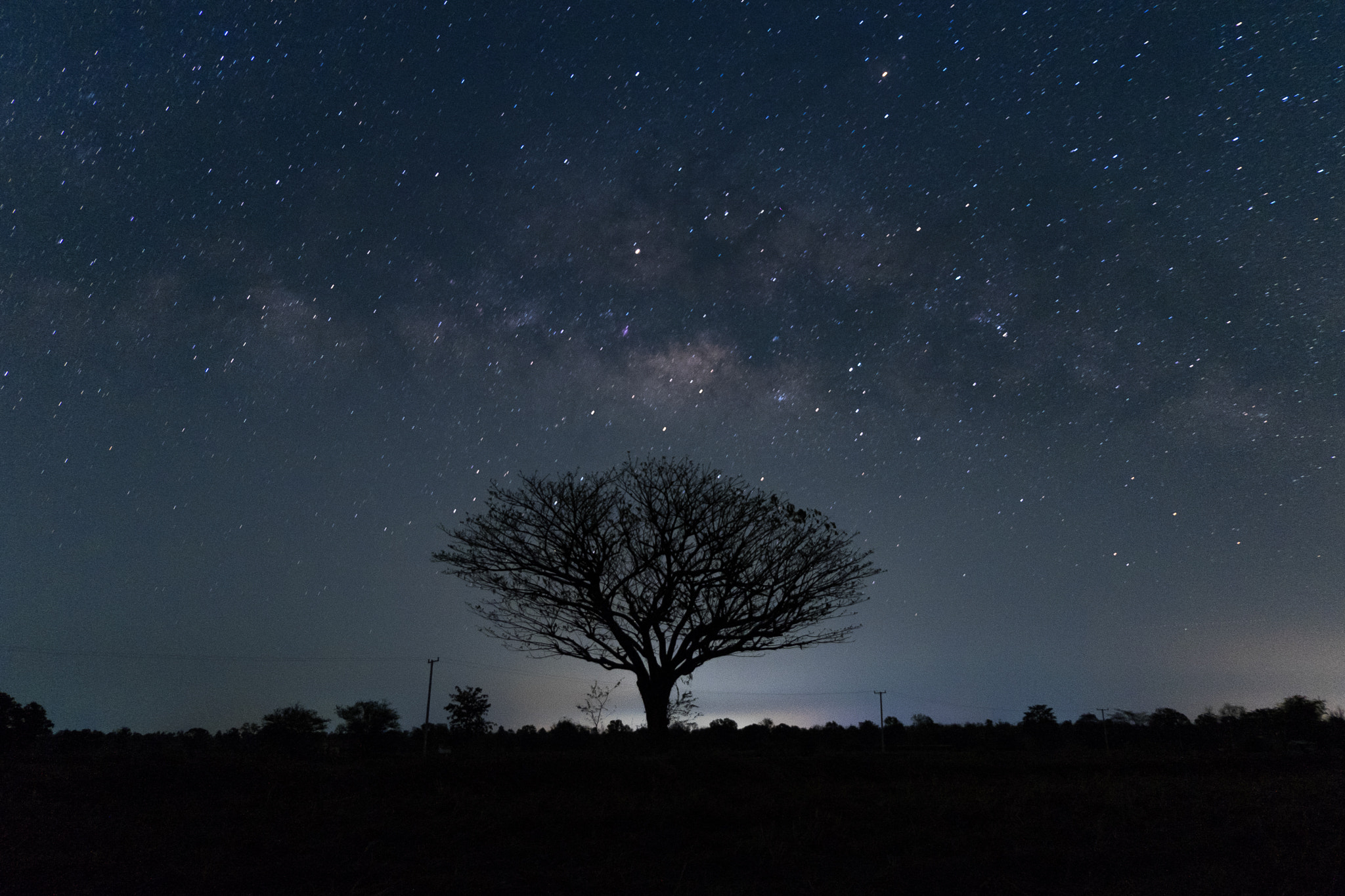 Fujifilm X-T10 + Fujifilm XC 16-50mm F3.5-5.6 OIS sample photo. Milky way over dead tree photography