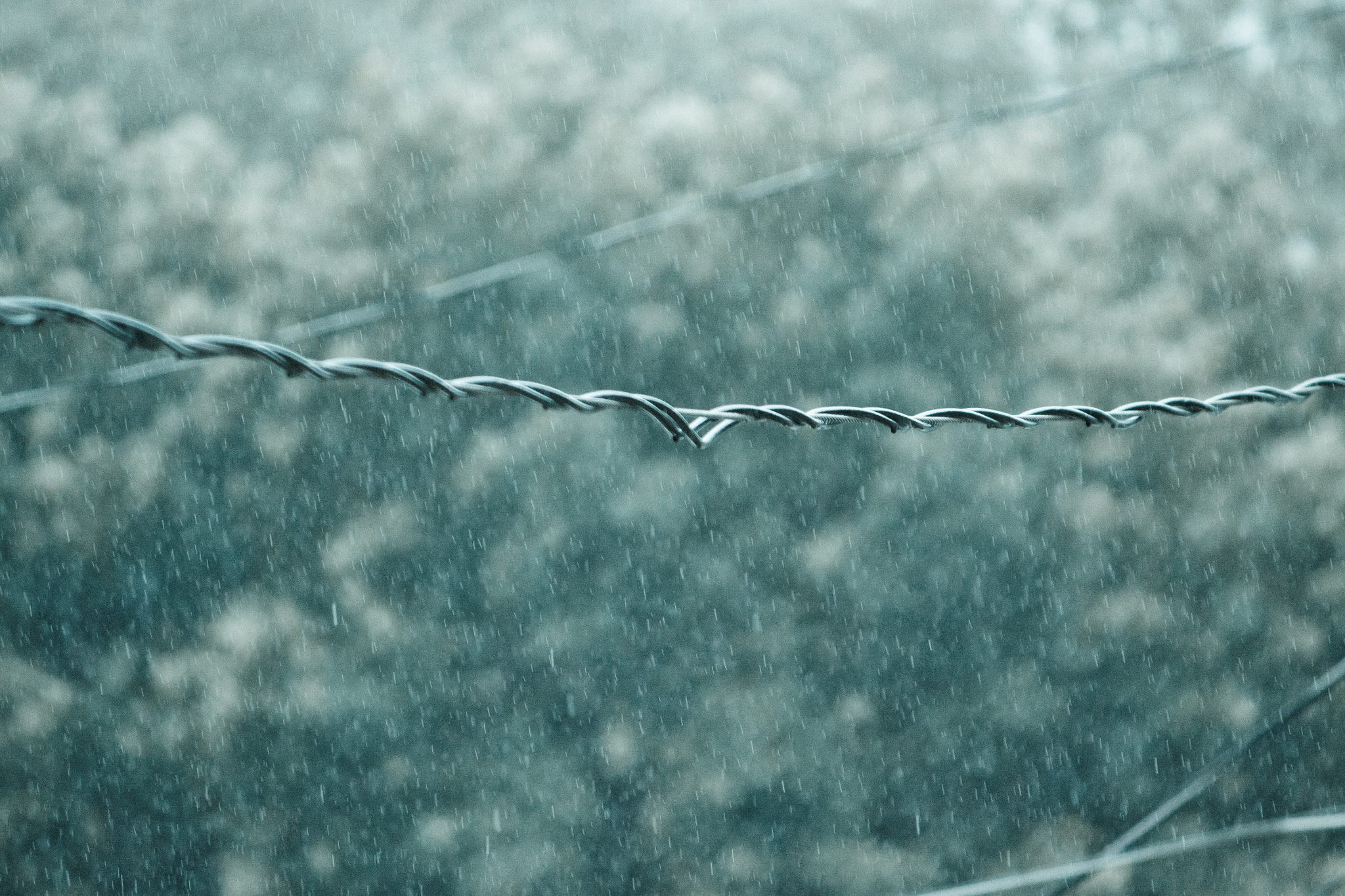Canon EF-S 55-250mm F4-5.6 IS sample photo. Power rain photography