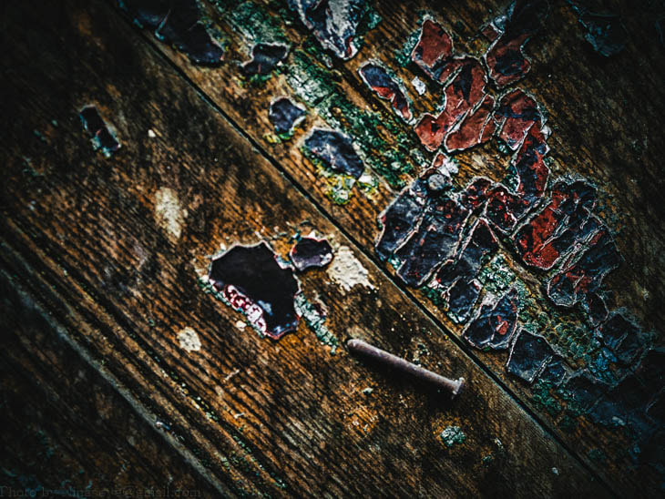 Olympus OM-D E-M10 + Olympus M.Zuiko Digital 45mm F1.8 sample photo. I'd rather watch paint dry photography