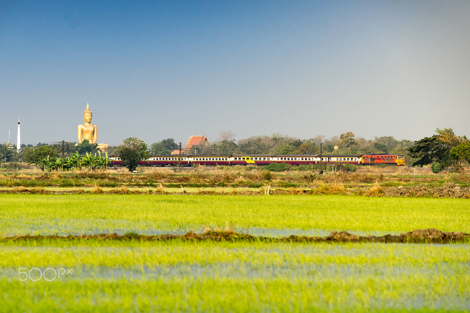 Sony a7 II + Tamron 18-270mm F3.5-6.3 Di II PZD sample photo. Train over the rice field and giant buddha photography