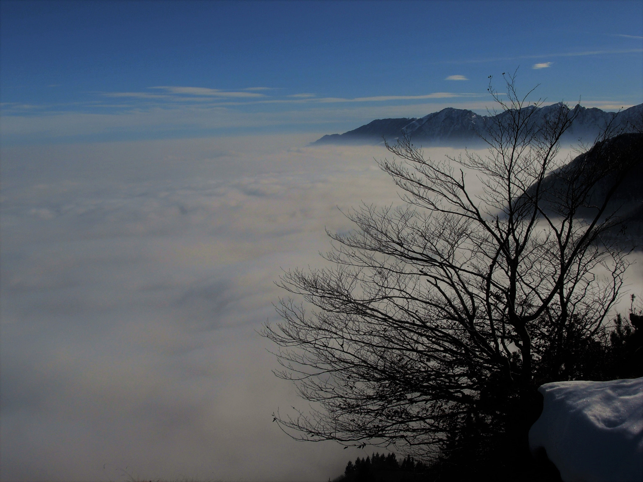 Nikon COOLPIX L5 sample photo. Foggy sea photography