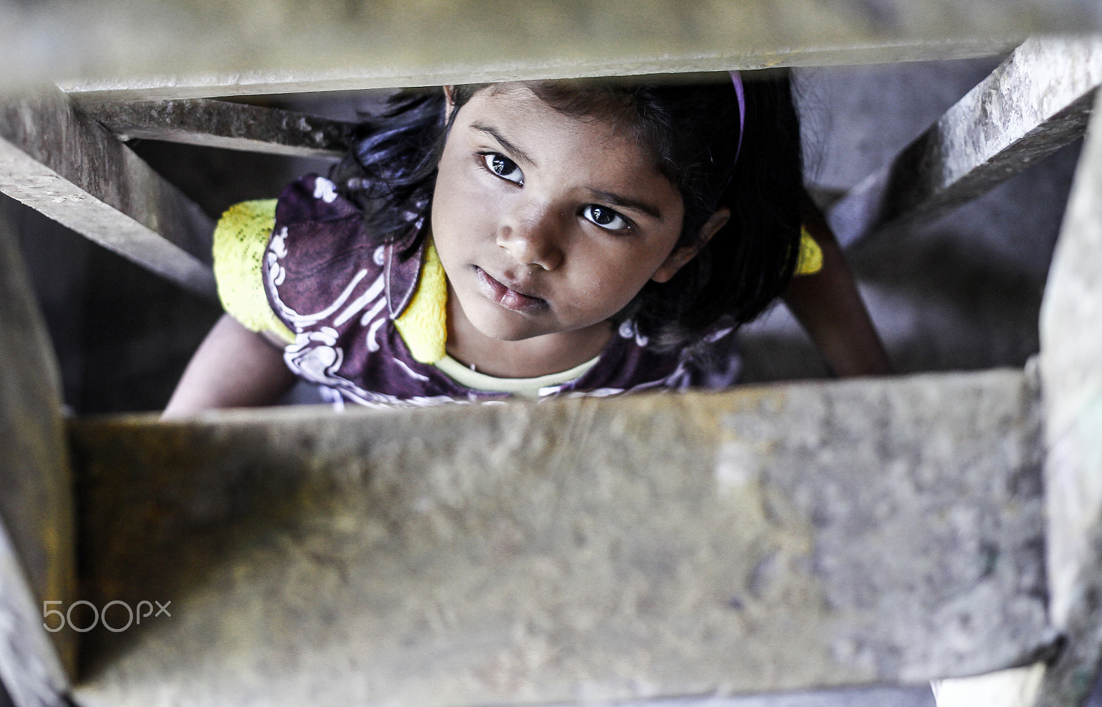 Canon EF 40mm F2.8 STM sample photo. Hunt for freedom photography