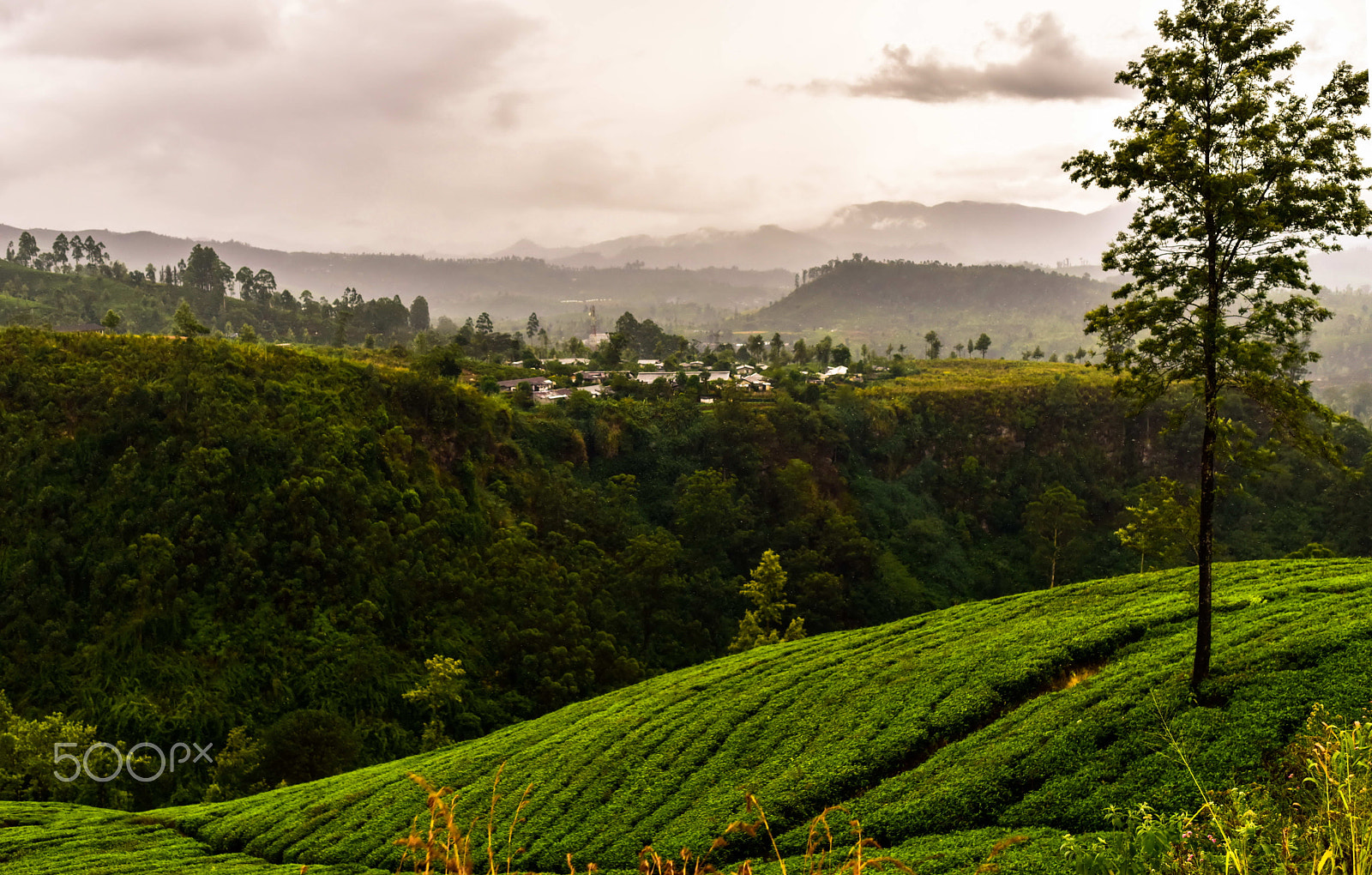 Nikon AF-S Nikkor 200-400mm F4G ED-IF VR sample photo. Sri lanka on the train and in the tea garden photography