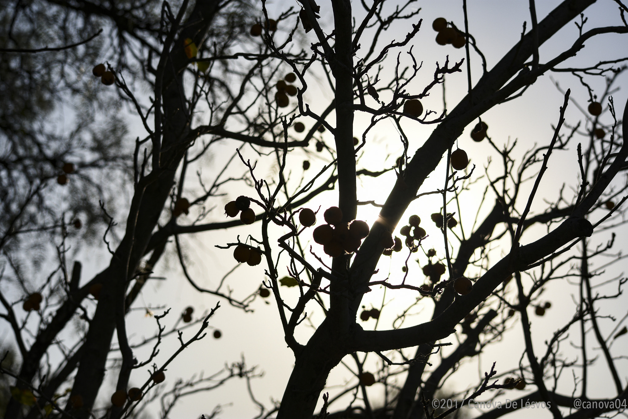 Nikon D3400 sample photo. Chiaroscuro 07 photography