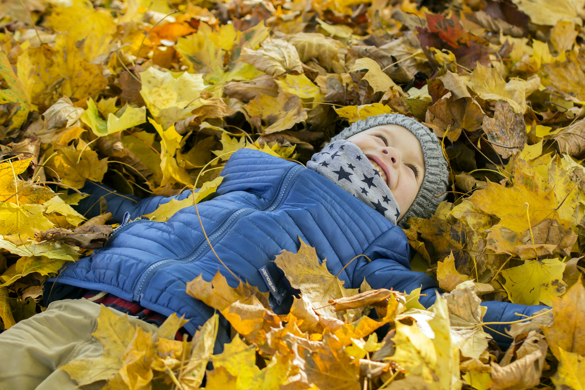 Canon EOS 60D + Sigma 50-200mm F4-5.6 DC OS HSM sample photo. Fun with leaves photography