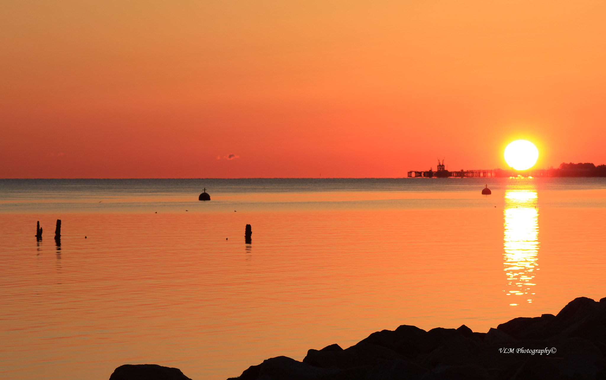 Canon EF 75-300mm f/4-5.6 USM sample photo. Hello orange! photography