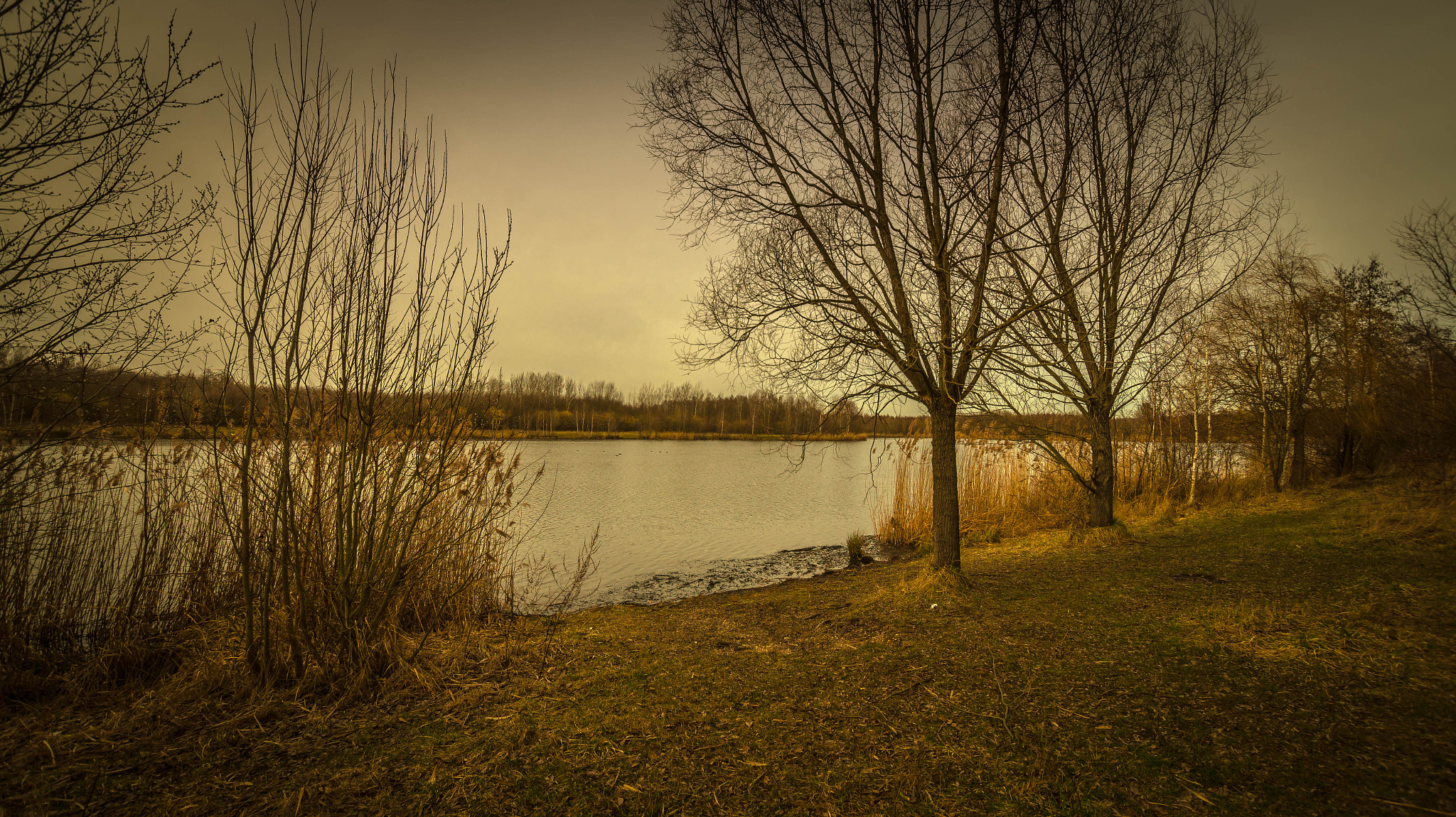 Sony SLT-A58 + Sigma 10-20mm F3.5 EX DC HSM sample photo. Rainy days photography