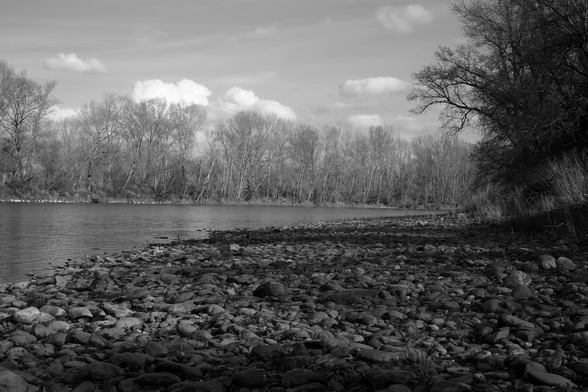 Fujifilm X-E1 + Fujifilm XF 35mm F1.4 R sample photo. La garonne photography