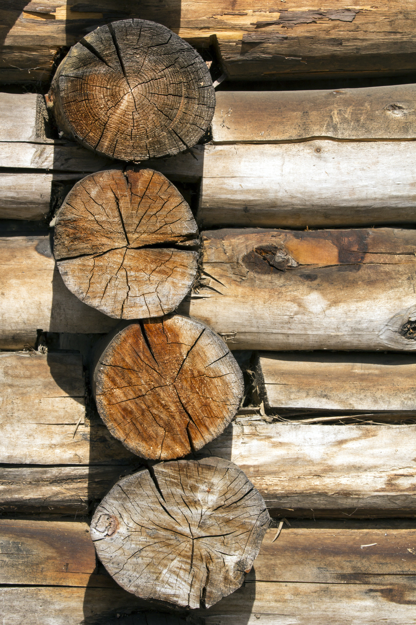Canon EOS 60D sample photo. Wooden house photography