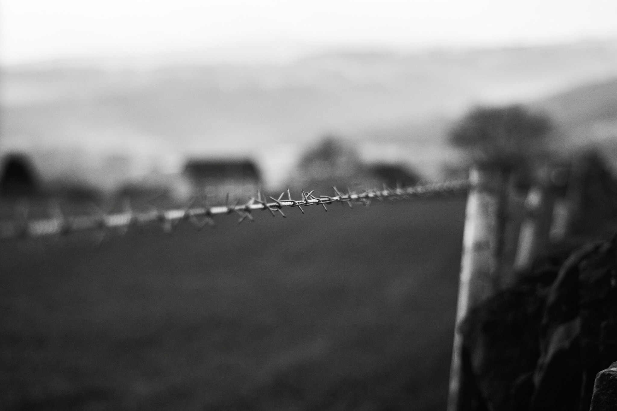 Canon EF 80-200mm f/4.5-5.6 USM sample photo. Barbed wire photography