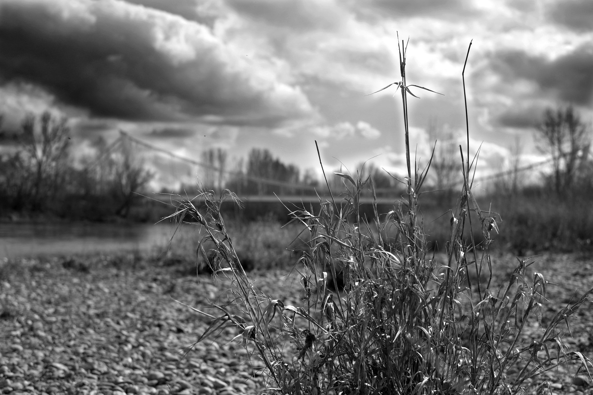 Fujifilm XF 35mm F1.4 R sample photo. La garonne et ses galets. photography