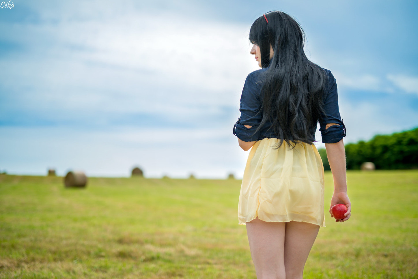 Nikon D800E + Sigma 50mm F1.4 DG HSM Art sample photo. Mao taku cosplay photography