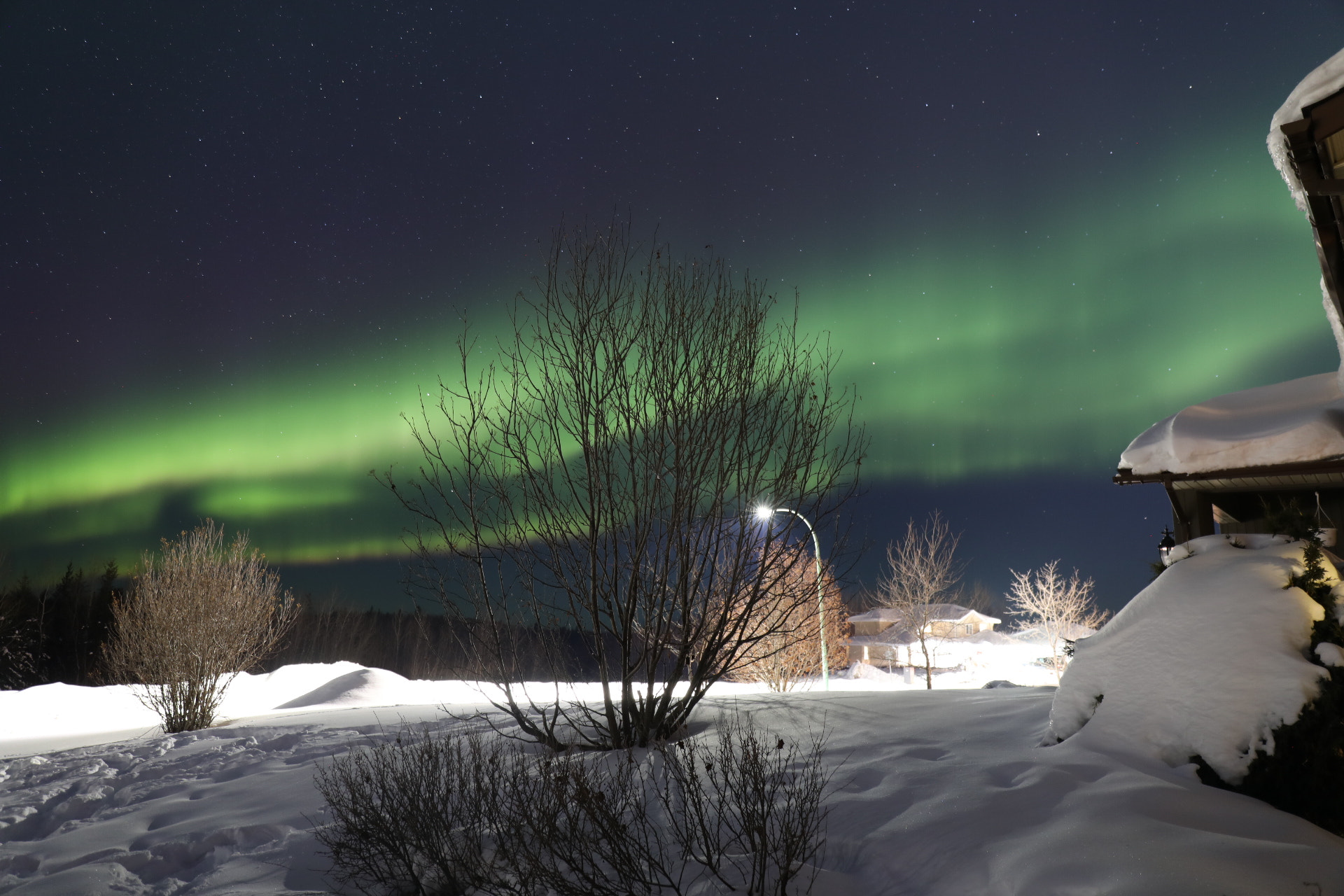 Canon EF 24-70mm F4L IS USM sample photo. Magical aurora :))) photography
