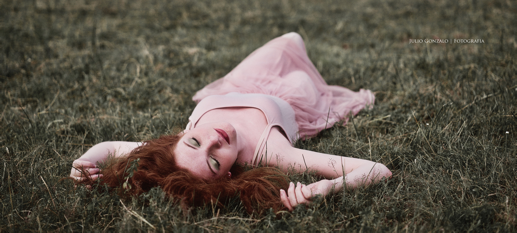 Sony a7S + Sony Sonnar T* FE 55mm F1.8 ZA sample photo. Grass photography