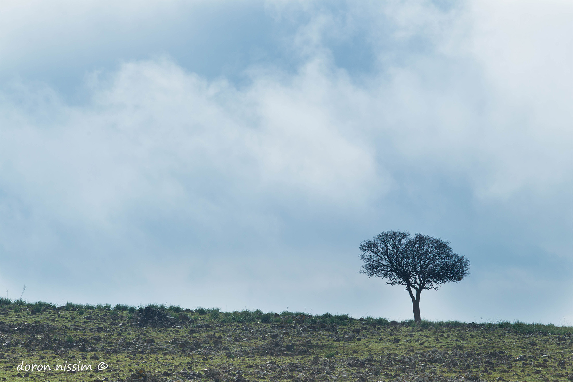Canon EF 300mm F2.8L IS II USM sample photo. @ photography