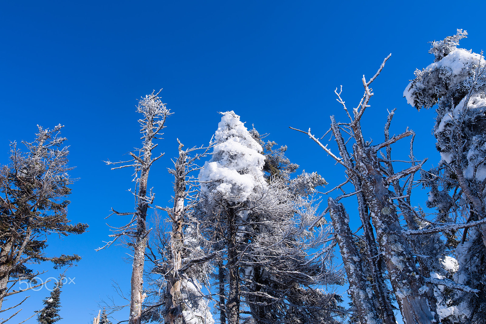 ZEISS Otus 28mm F1.4 sample photo. Pristine (zeiss otus 1.4/28mm review) photography