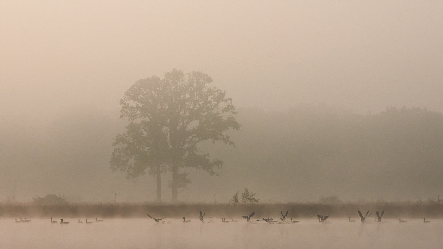 Nikon D300S + Nikon AF Nikkor 180mm F2.8D ED-IF sample photo. Sunsrise photography