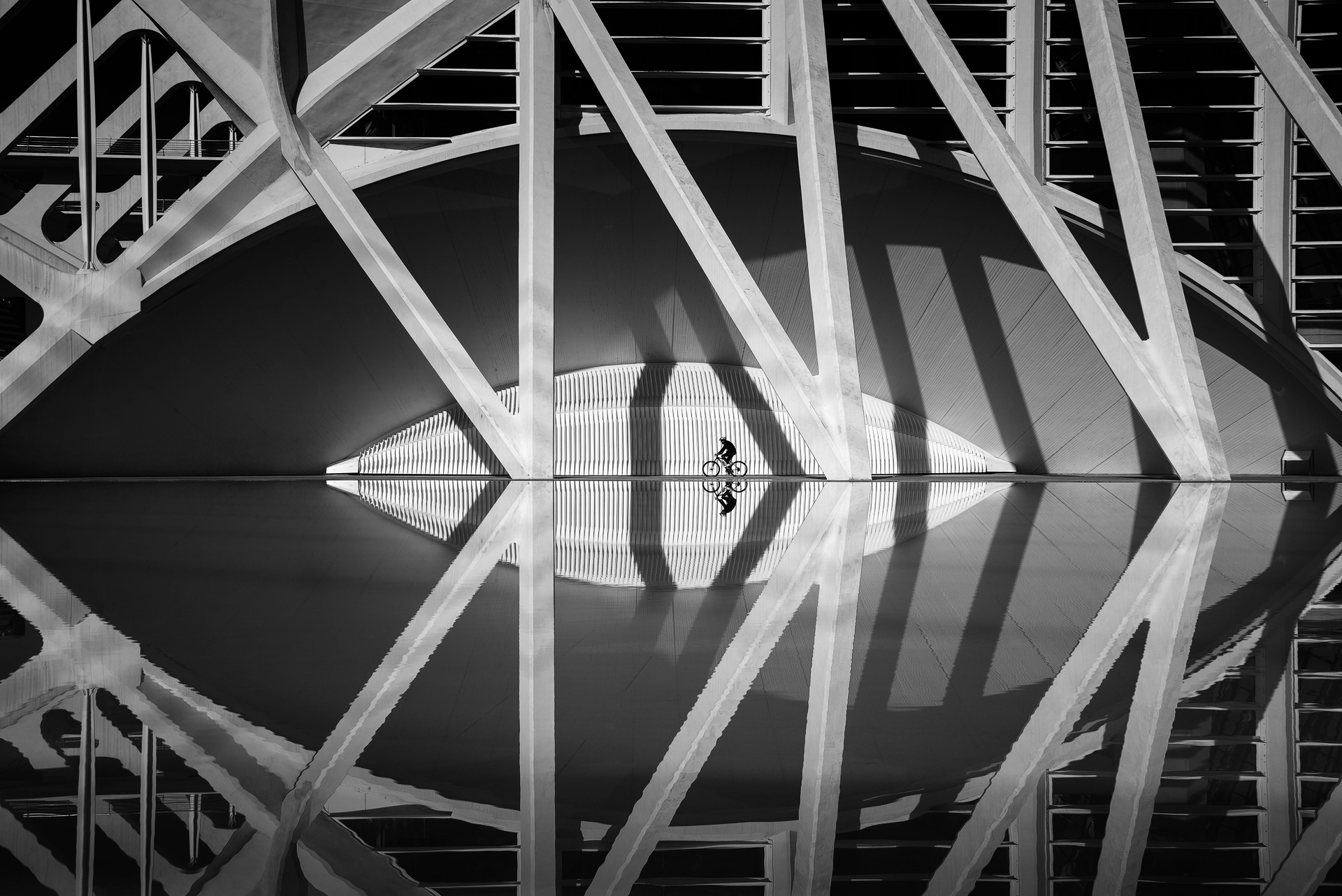 Nikon D800E sample photo. The eye photography