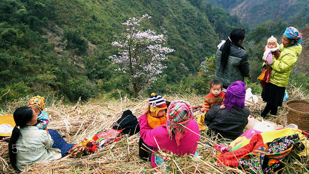 Sony SLT-A35 + Sony DT 18-55mm F3.5-5.6 SAM sample photo. Women upland, take care of children. photography