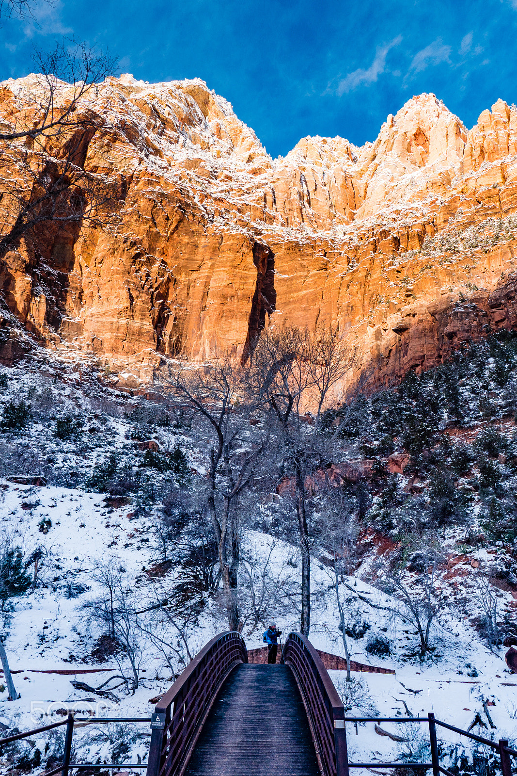 Panasonic Lumix DMC-GX8 sample photo. Entrance of emerald pools trail / zion np, ut photography